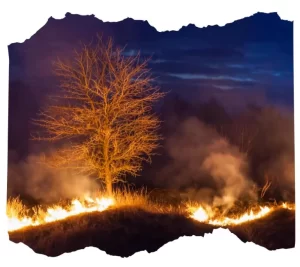 bushfire impact construction NSW fire-resistant materials SCE Corp, north sydney, north shore