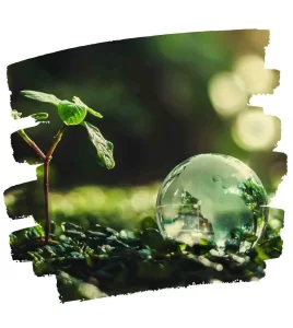 sustainable construction, green building Sydney, environmental design, North Sydney, north shore