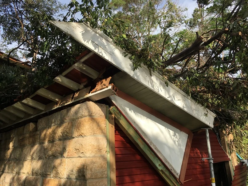 Fallen tree across the damaged boat shed roof at Grays Point