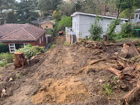 Cleared ground and tree stumps along the Mount Colah subdivision access route